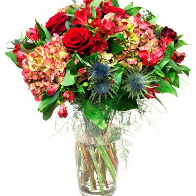 Special Occasion Flowers Delivered - Hydrangea, Red Rose, Thistle, Red Alstroemeria - Flowers for Him
