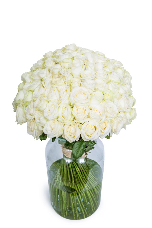 100 Long Stemmed White Roses 100 White Roses Fresh White Roses