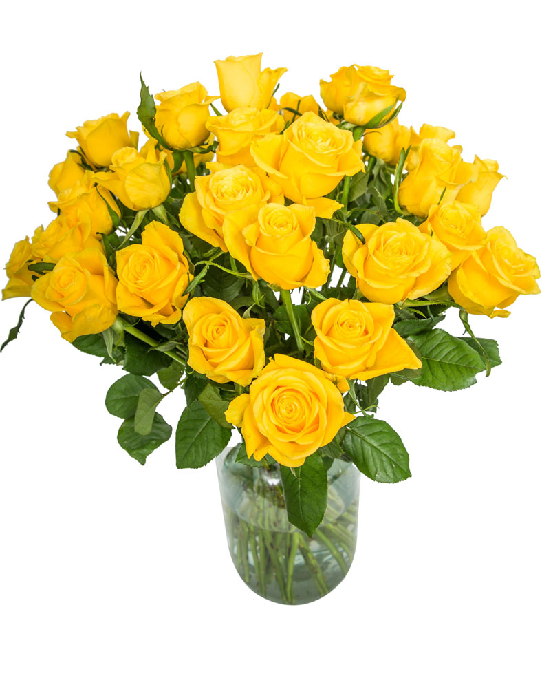 24 Long Stemmed Yellow Roses – Fresh Yellow Roses, 24 Yellow Roses ...