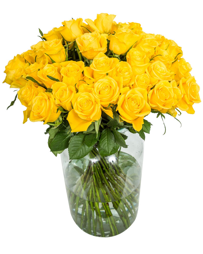 48 Long Stemmed Yellow Roses – Fresh Yellow Roses, 48 Yellow Roses ...