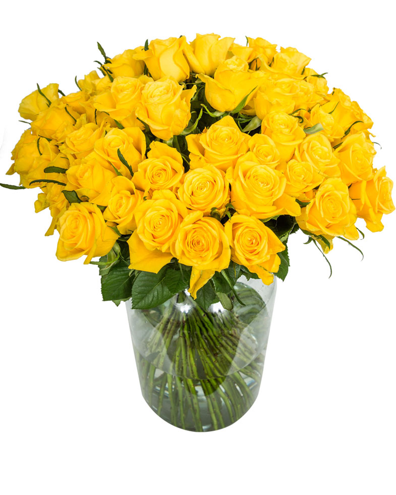 75 Long Stemmed Yellow Roses – Fresh Yellow Roses, 75 Yellow Roses ...